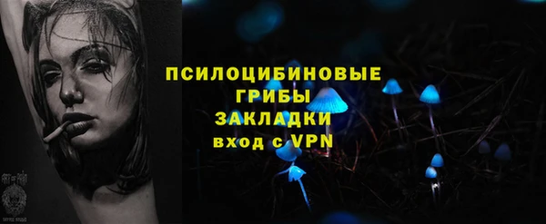 ГАЛЛЮЦИНОГЕННЫЕ ГРИБЫ Алексин