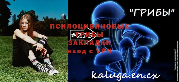 Альфа ПВП Алзамай